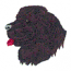 NEWFOUNDLAND DOG HEAD