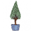 POTTED TREE