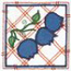 Blueberries