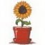 Sunflower In Pot