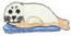 Harp Seal